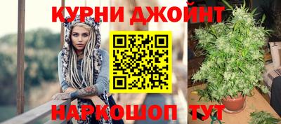 стафф Славгород