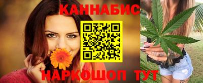 шишки Ставрополь