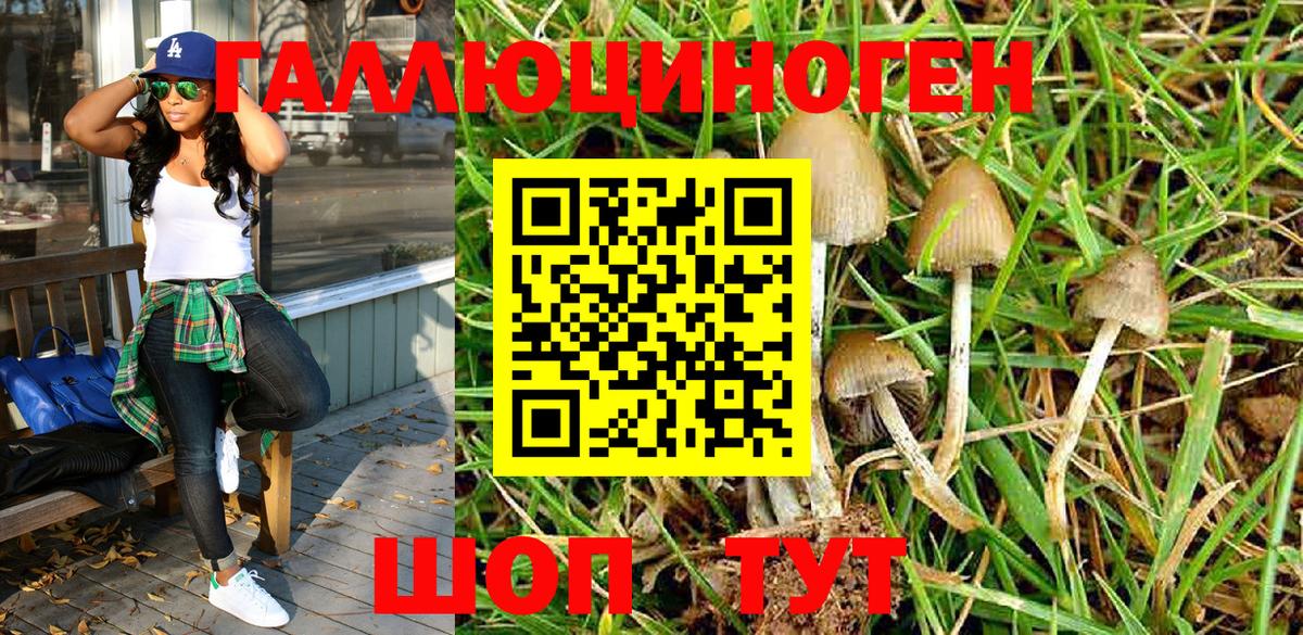 Псилоцибиновые грибы MAGIC MUSHROOMS  Вход с VPN  где купить   Сальск 