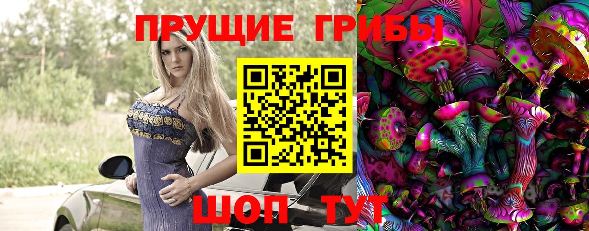 Галлюциногенные грибы Psilocybe Сальск